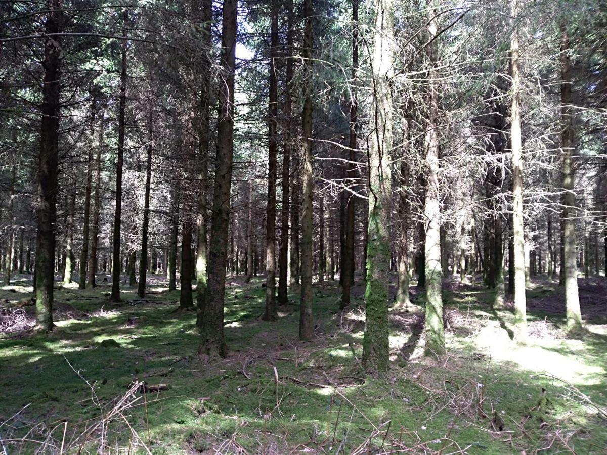 Oh Deer! Διαμέρισμα Vaux-sur-Sure Εξωτερικό φωτογραφία